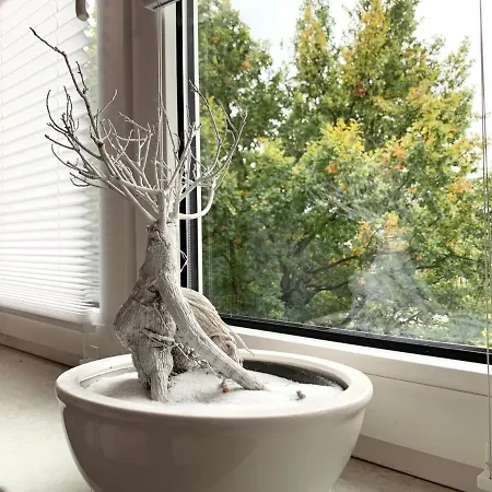 Appartement Premium Cityapartment *tiefgarage,netflix,zentrum*